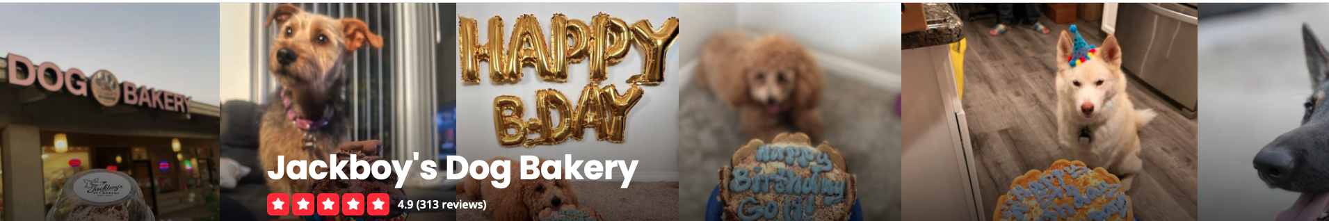 Jackboy’s Dog Bakery has a 4.9-star rating from 313 reviews